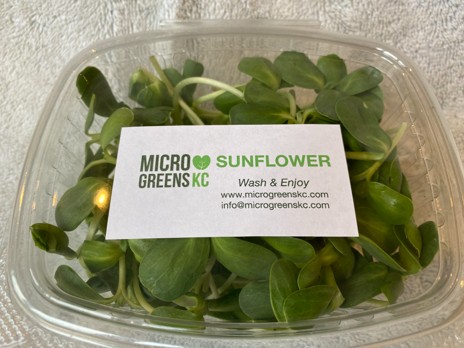 sunflower-microgreens-14